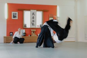aikido takemuso verona